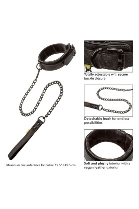 Boundless Halsband und Leine von Calexotics kaufen | Fesselliebe