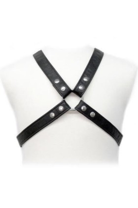 Lasic Harness in Gewand von Leather Body kaufen | Fesselliebe