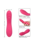 Pixies Ripple Vibrator Pink von California Exotics kaufen - Fesselliebe