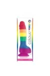 Lgbt Flagge Dildo 15 Cm von Pride kaufen - Fesselliebe