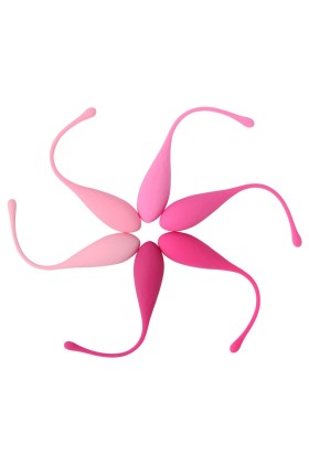 Kegel Fit Pelvic Muscle Training Set 6 Stücke von Leslie kaufen | Fesselliebe