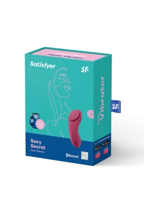 Sexy Secret Panty von Satisfyer Connect