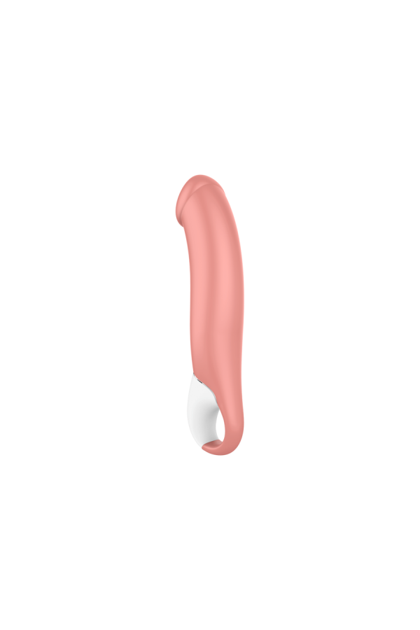 Vibe Master von Satisfyer Vibrator kaufen | Fesselliebe