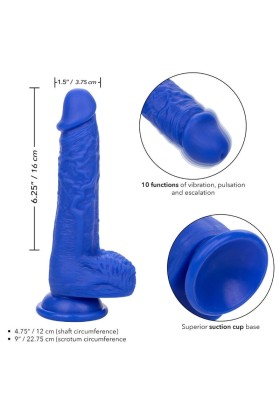 Admiral Sailor realistischer Dildo-Vibrator Blau von Calexotics kaufen | Fesselliebe