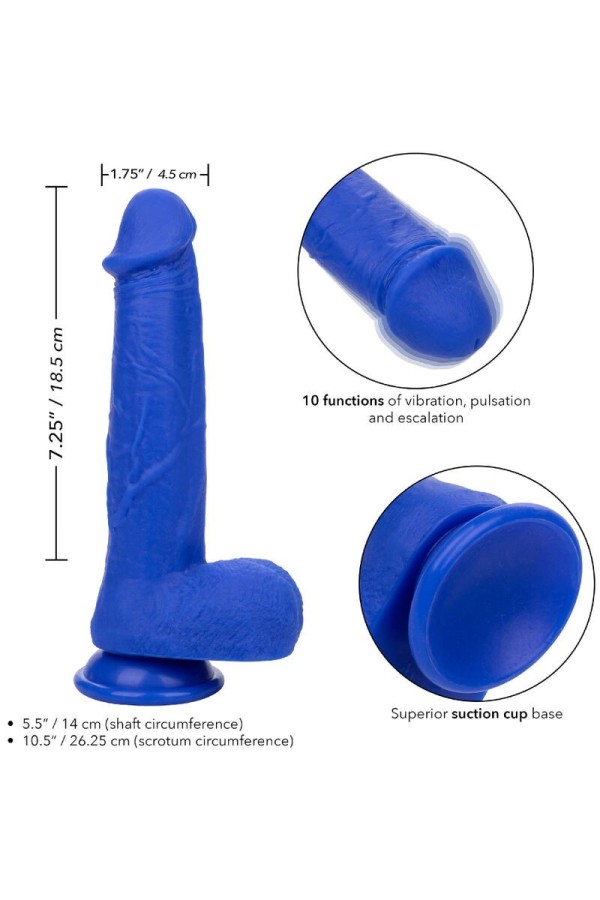 Admiral Kapitn realistischer Dildo-Vibrator Blau von Calexotics kaufen | Fesselliebe