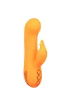 Montecito Muse Vibrator Rabbit Orange von California Dreaming von Calexotics