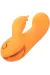 CALEXOTICS - MONTECITO MUSE VIBRATOR RABBIT ORANGE VON CALIFORNIA DREAMING