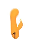 CALEXOTICS - MONTECITO MUSE VIBRATOR RABBIT ORANGE VON CALIFORNIA DREAMING