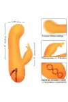 CALEXOTICS - MONTECITO MUSE VIBRATOR RABBIT ORANGE VON CALIFORNIA DREAMING