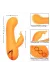 CALEXOTICS - MONTECITO MUSE VIBRATOR RABBIT ORANGE VON CALIFORNIA DREAMING