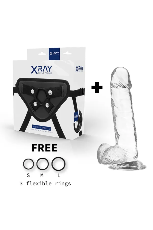 Harness + Klarer Dildo mit Hoden 20cm X 4.5cm von X Ray kaufen - Fesselliebe