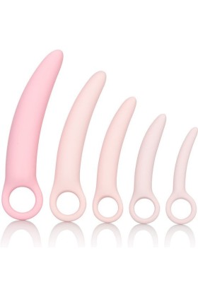 Inspire Silikon-Dilatator 5 Teiliges Set von Calexotics kaufen | Fesselliebe