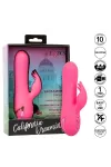 CALEXOTICS - SACRAMENTO SWEETIE VIBRATOR RABBIT PINK VON CALIFORNIA DREAMING