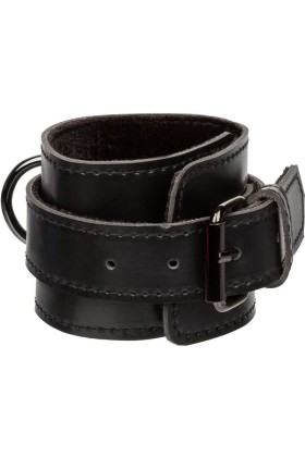 Euphoria Hog Bindung von Calexotics kaufen | Fesselliebe