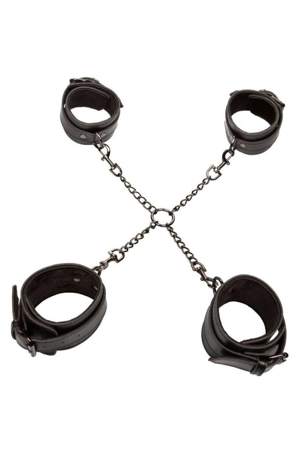 Euphoria Hog Bindung von Calexotics kaufen | Fesselliebe