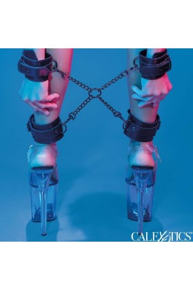 Euphoria Hog Bindung von Calexotics kaufen | Fesselliebe