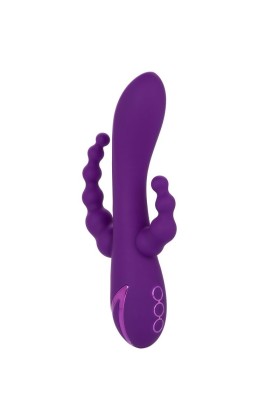 Long Beach Bootylicious Lila von Calexotics kaufen | Fesselliebe