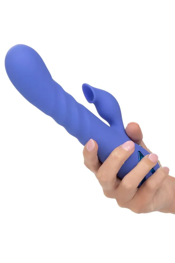 CALIFORNIA EXOTICS - LA LOVE VIBRATOR & SUCKER BLAU VON CALIFORNIA DREAMING kaufen - Fesselliebe