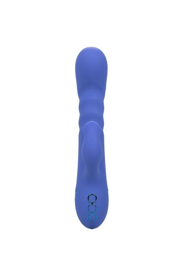 CALIFORNIA EXOTICS - LA LOVE VIBRATOR & SUCKER BLAU VON CALIFORNIA DREAMING kaufen - Fesselliebe