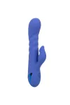 CALIFORNIA EXOTICS - LA LOVE VIBRATOR & SUCKER BLAU VON CALIFORNIA DREAMING kaufen - Fesselliebe