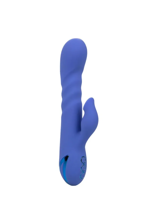 CALIFORNIA EXOTICS - LA LOVE VIBRATOR & SUCKER BLAU VON CALIFORNIA DREAMING kaufen - Fesselliebe