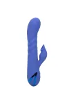 CALIFORNIA EXOTICS - LA LOVE VIBRATOR & SUCKER BLAU VON CALIFORNIA DREAMING kaufen - Fesselliebe