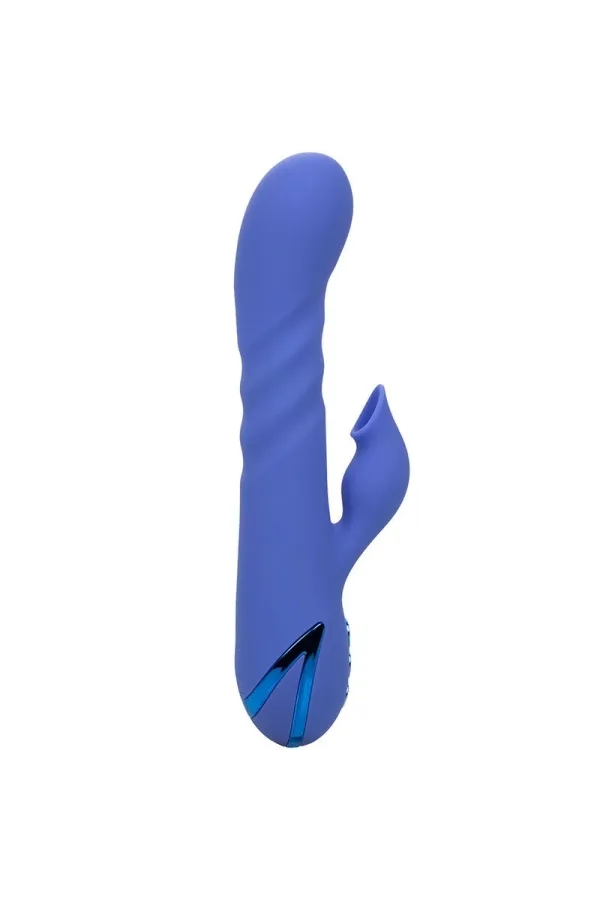 CALIFORNIA EXOTICS - LA LOVE VIBRATOR & SUCKER BLAU VON CALIFORNIA DREAMING kaufen - Fesselliebe