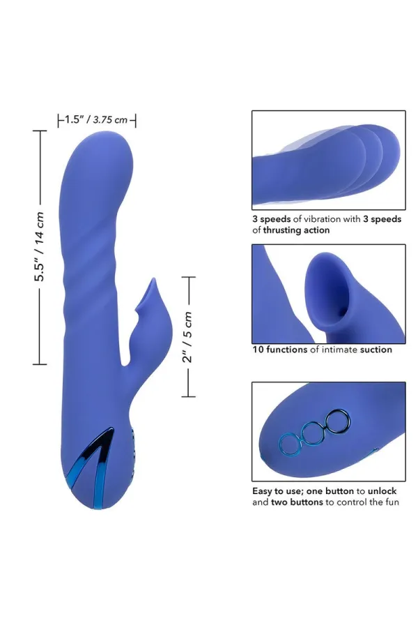 CALIFORNIA EXOTICS - LA LOVE VIBRATOR & SUCKER BLAU VON CALIFORNIA DREAMING kaufen - Fesselliebe