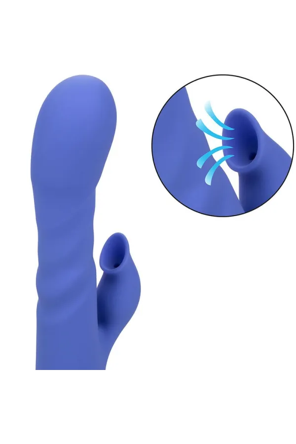 CALIFORNIA EXOTICS - LA LOVE VIBRATOR & SUCKER BLAU VON CALIFORNIA DREAMING kaufen - Fesselliebe