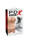 Perfect Dd''S Masturbator von Pdx Plus+ kaufen - Fesselliebe