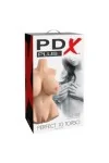 Perfect 10 Light Skin Torso von Pdx Plus+ kaufen - Fesselliebe