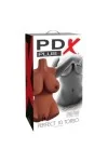 Perfekt 10 Torso - Braun von Pdx Plus+ kaufen - Fesselliebe