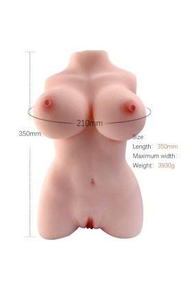 Realistisches Weibliches Torsomodell 3 von Armony For Him kaufen | Fesselliebe