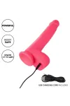 CALEXOTICS - STUDS REALISTISCHER VIBRATOR 10 VIBRATIONEN ROSA