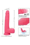 CALEXOTICS - STUDS REALISTISCHER VIBRATOR 10 VIBRATIONEN ROSA