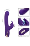 CALEXOTICS - JACK RABBIT VIBRATOR & STIMULATOR 7 VIBRATIONEN UND SAUGMODUS BLAU