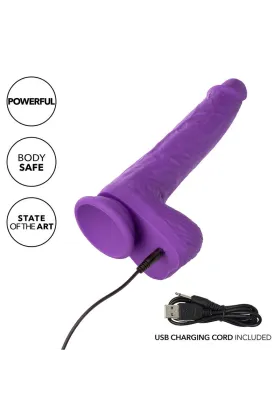 CALEXOTICS - STUDS WIEDERAUFLADBARER UND ROTIERENDER VIBRATOR 10 VIBRATIONEN LILA