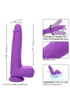 CALEXOTICS - STUDS WIEDERAUFLADBARER UND ROTIERENDER VIBRATOR 10 VIBRATIONEN LILA