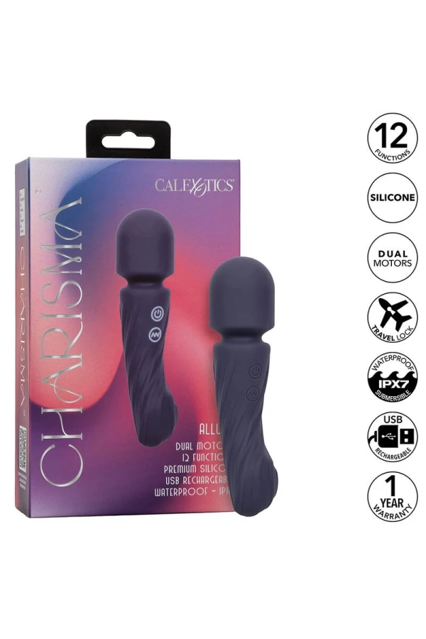 Smart Wand 2 Bordeaux von Lelo