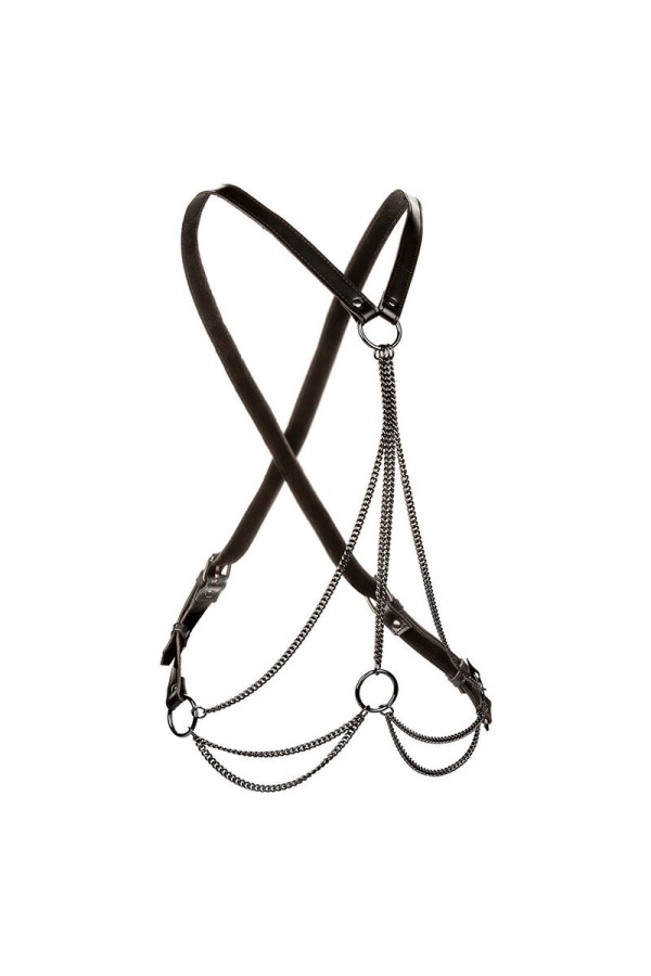 Euphoria Multichain Harness Premium von Calexotics kaufen | Fesselliebe