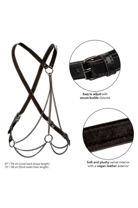 Euphoria Multichain Harness Premium von Calexotics kaufen | Fesselliebe