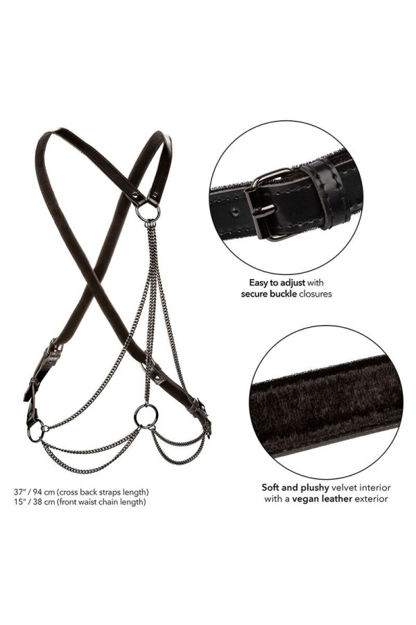 Euphoria Multichain Harness Premium von Calexotics kaufen | Fesselliebe