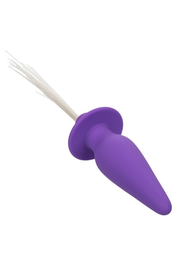 Southern Lights Light Up Leuchtende Analstecker 10 Vibrationen Silikon Lila von Calexotics kaufen | Fesselliebe