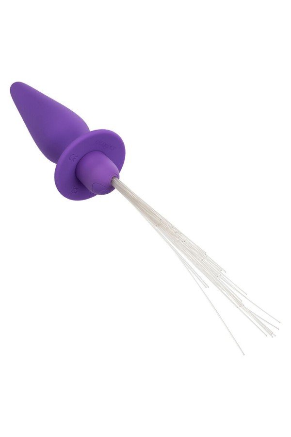 Southern Lights Light Up Leuchtende Analstecker 10 Vibrationen Silikon Lila von Calexotics kaufen | Fesselliebe