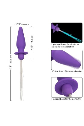 Southern Lights Light Up Leuchtende Analstecker 10 Vibrationen Silikon Lila von Calexotics kaufen | Fesselliebe