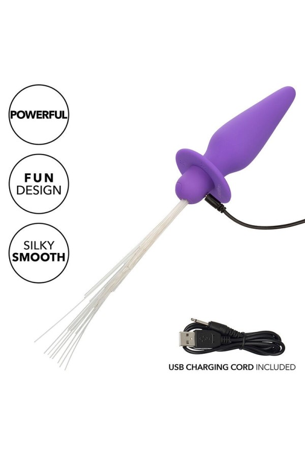 Southern Lights Light Up Leuchtende Analstecker 10 Vibrationen Silikon Lila von Calexotics kaufen | Fesselliebe