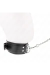 Halskette mit Riemen 65 cm Silber Schnallen verstellbar 33-46 cm X 5,5 cm von Kink Collar & Gag