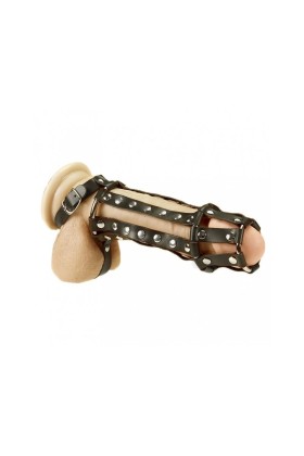 Penis- und Hodenharness von Bondage Play kaufen | Fesselliebe