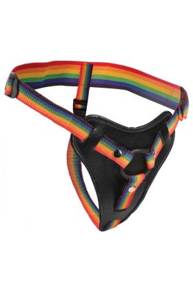 Take the Rainbow Universelles Strap-on-Gurtzeug
