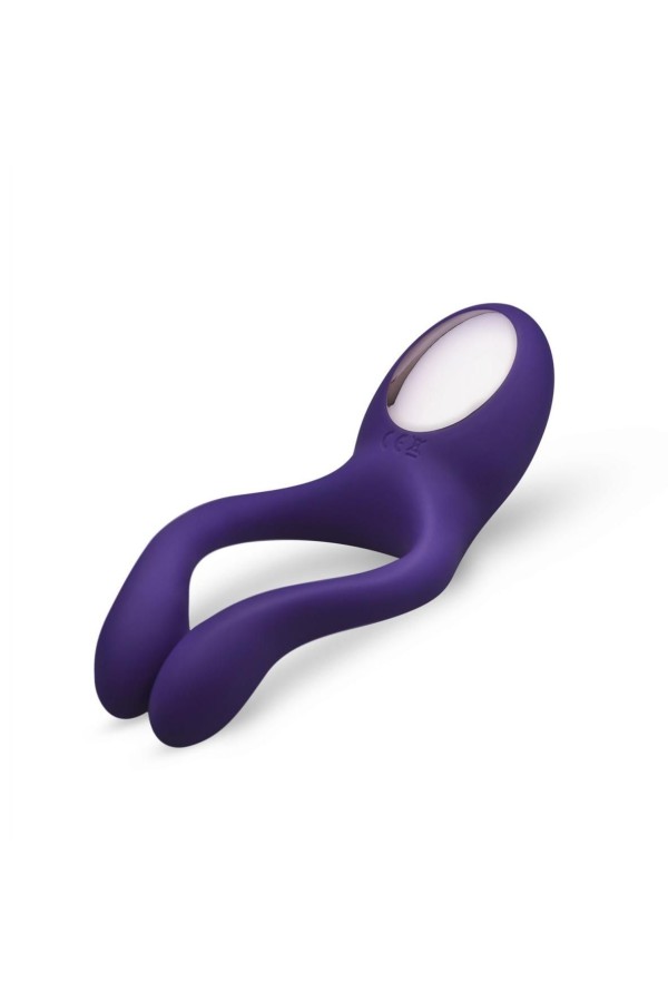 Paarvibrator